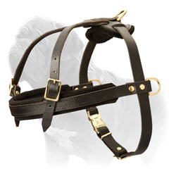 Pulling, Tracking and Every Day Mastiff Leather Harness with Strap-Like Chest Plate