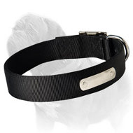 Reliable and Gorgeous Nylon Dog Collar with Name Tag for Mastiff Breed