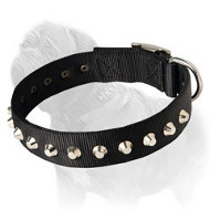 Training Nylon Mastiff Collar With Piramids