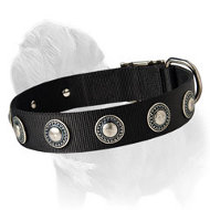 Super Light Weight Nylon Collar for Multiactivity of Your Mastiff