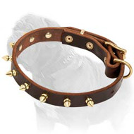 Fashionable Leather Dog Collar with Brass Spikes for Mastiff Walking