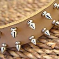 Bullmastiffs Leather Spiked Dog Collar