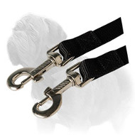 Mastiff Dog Coupler Leash Made of Nylon