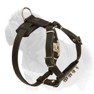 Leather Spiked Mastiff Dog Harness for First Walks