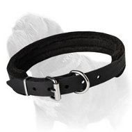 Multitasking Leather Padded Dog Collar for Mastiff Breed - Extra Thin  Multitasking Leather Padded Dog Collar for Mastiff Breed - Extra Thin