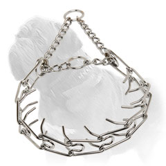 'Calm Down Effect' Mastiff Dog Pinch Collar 'Calm Down Effect' Mastiff Dog Pinch Collar