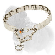 'Best Behaviour' Mastiff Dog Neck Tech Prong Collar