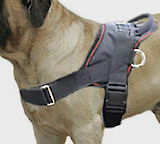 Nylon dog harness with handle,custom dog harness,handmade dog harness,Designer dog harness,Mastiff training harness