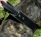 Mastiff collar,big dog collars,leather dog collars,,spiked dog collars,nylon dog collars,custom dog collars,dog training collars