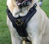Mastiff harness, Mastiff leather dog harness,walking dog harness for Mastiff,nylon dog harness with handle for Mastiff,