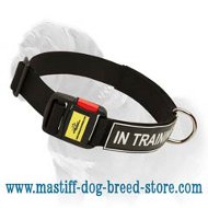 Mastiff Nylon Collar for Identification, Training and Walking