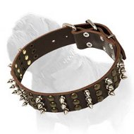 Fashionable and Exquisite Leather Collar for Strong Mastiff - Leather Masterpiece with Spikes and Studs Fashionable and Exquisite Leather Collar for Strong Mastiff - Leather Masterpiece with Spikes and Studs