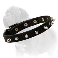 Narrow Leather Dog Collar with Nickel Spikes for Mastiff Walking