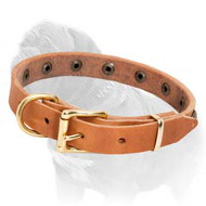 Leather Dog Collar with Brass Half-Ball Studs for Mastiff Puppies and Small Breed Dogs