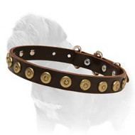 Gorgeous Wide Leather Dog Collar With Dotted Circles for Mastiff Walking