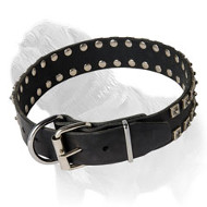 Mastiff Leather Collar with Dotted Studs for Daily Walking