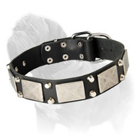 Leather Dog Collar with Nickel Plate and Pyramids for Mastiff Walking