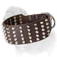 Strong Wide Mastiff Dog Collar with Nickel-Plated Studs