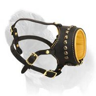 Breathe and Drink Water Leather Mastiff Muzzle