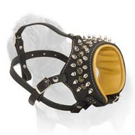 Mastiff Universal Solution - Leather Nappa Leather Padded Muzzle with Spikes & Studs