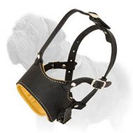 Absolute Freedom Leather Mastiff Muzzle
