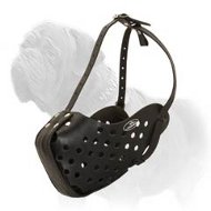 Professional Agitation Muzzle for Training and Walking your Mastiff