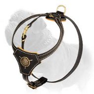 Comfortable Leather Dog Harness for Mastiff Puppy