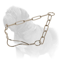 Mastiff Dog Show Collar with Fur Saving Links Mastiff Dog Show Collar with Fur Saving Links