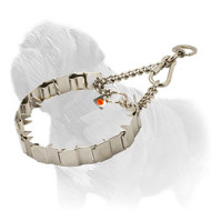 'Superb Control' Mastiff Dog Neck Tech Prong Collar