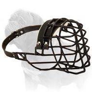 Adorable Wire Cage Mastiff Dog Muzzle with Black Rubber Coated Wires - Best for Winter Season