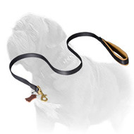 Padded Handle Nylon Mastiff Dog Leash