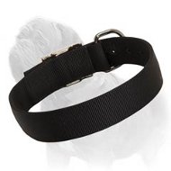 Everyday Comfortable Nylon Collar for Your Beloved Mastiff