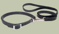 Leather Patent Dog Leash collar for Mastiff