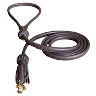 Rolled Leather Leash 3/8, 1/4 width x 4 feet for Mastiff