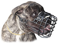 Bullmastiff Strong Metal Wire Muzzle for winter