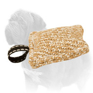 Small Mastiff Dog Biting Tug of Jute Material