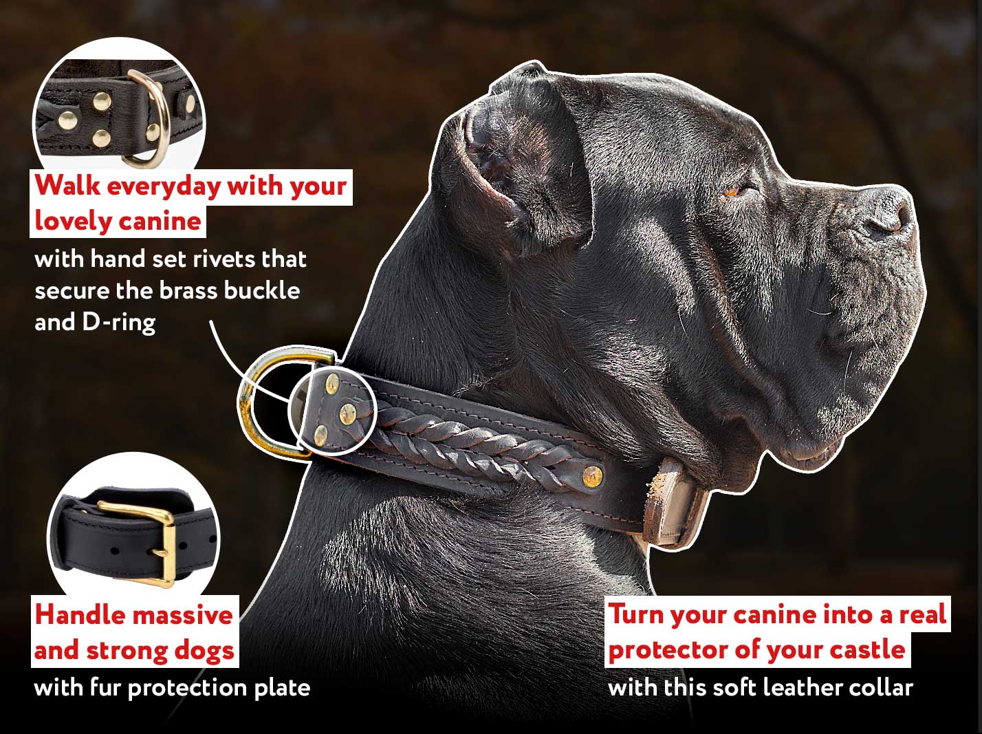 Custom Leather Dog Collar for CANE CORSO - Designer Dog Collar : Mastiff  Breed: Harnesses, Muzzles, Collars, Leashes, Bite Tugs and Toys