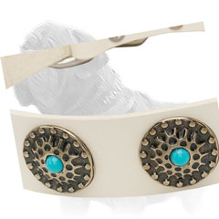 Curved Studs with Blue Stones