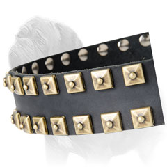 Gold Color Studs Decorate Leather Collar