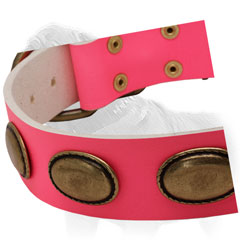 Goldish Ovals Hand Set with Rivets