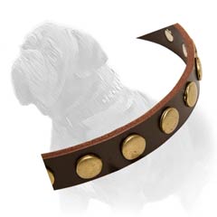 Rustproof Studs
