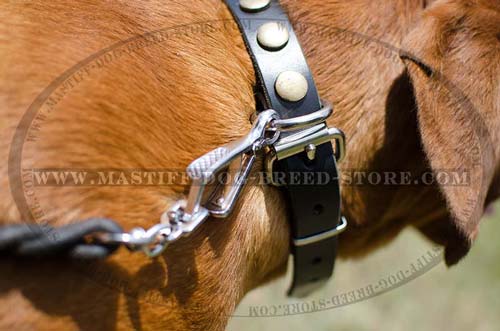 Rustproof Ring for Leash Attachment