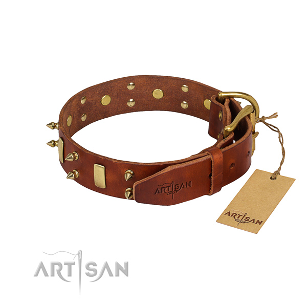 Sturdy leather dog collar with riveted fittings