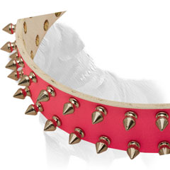 Leather Mastiff collar extra strong and reliable