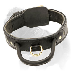 Mastiff dog collar with solid brass hardware