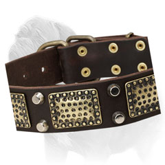 Mastiff dog collar, hand set buckle and D-ring