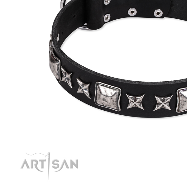 Full grain natural leather dog collar with exceptional adornments