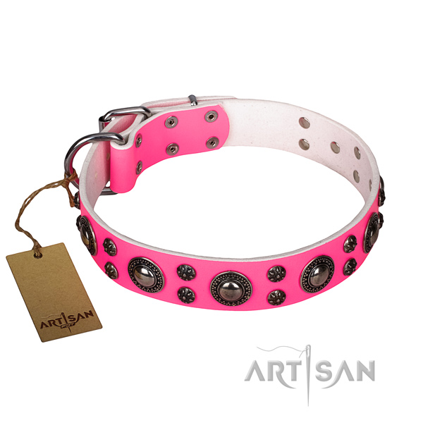 Amazing leather dog collar for daily use