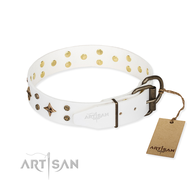 Walking full grain leather collar with studs for your doggie