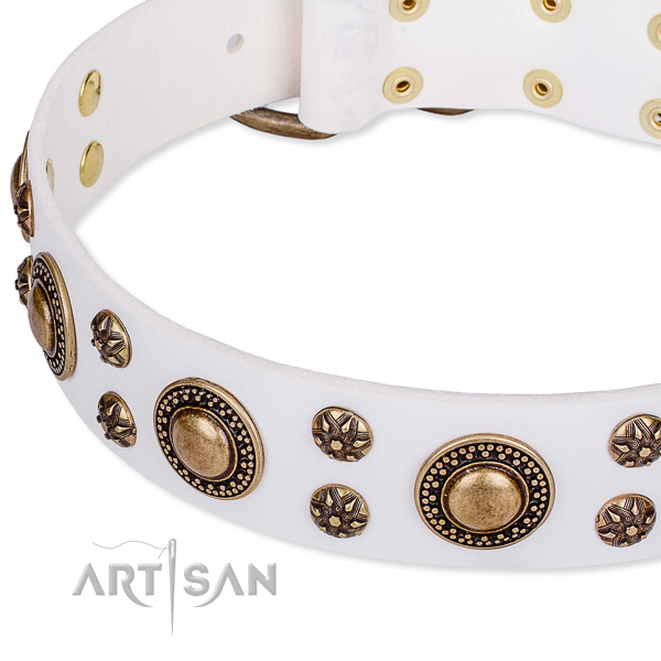 Leather dog collar with extraordinary studs